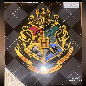 Harry Potter 12 Days of Socks Draco Dormiens nunquam titillandus *DAMAGED BOX *